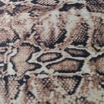 Polilicra estampada animal print serpiente cafe